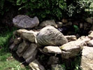 Image 01